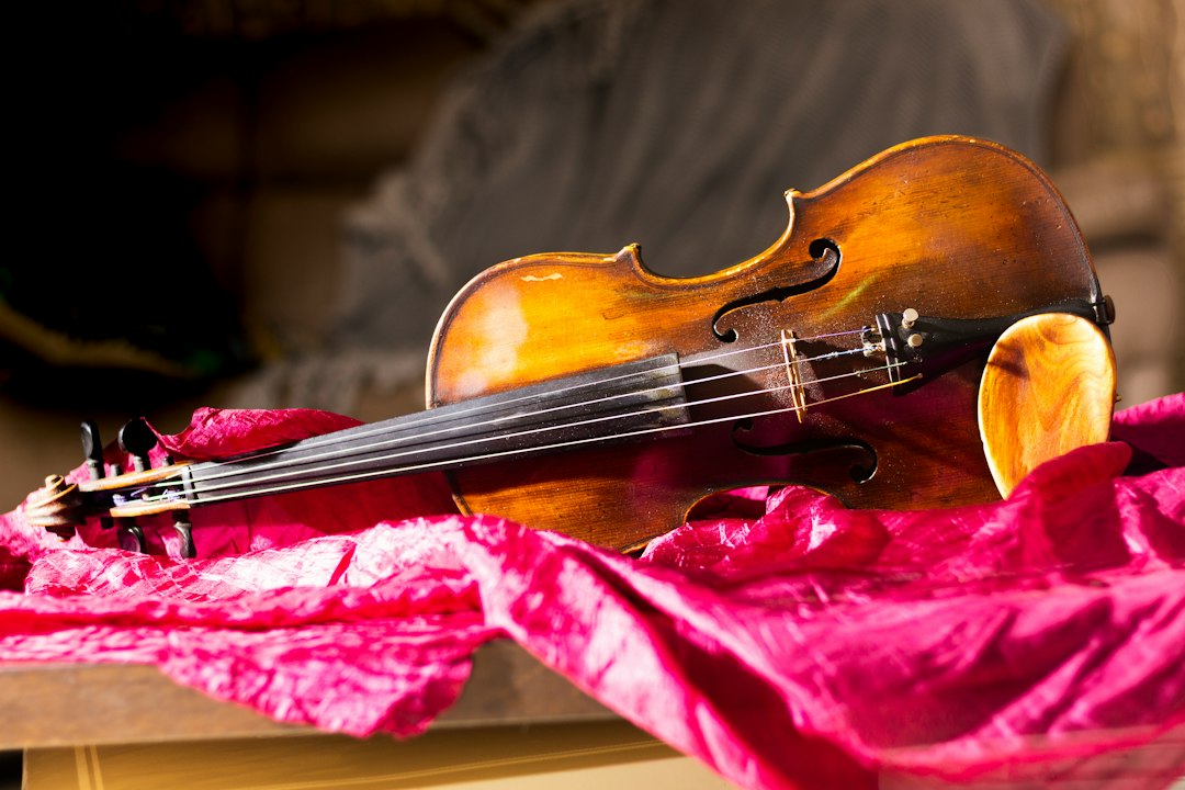 Violin repair