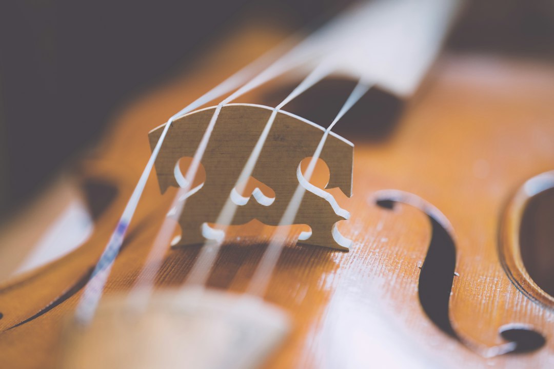 Cello repair