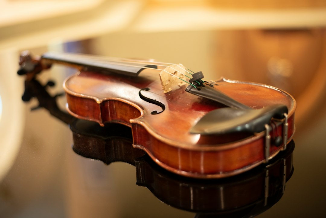 Violin repair
